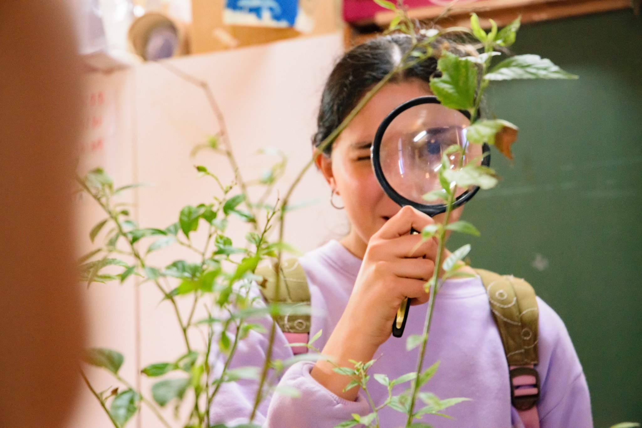 Actividad de Cuencas del Tecnoceno con observación de plantas