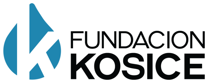 Fundación Kosice